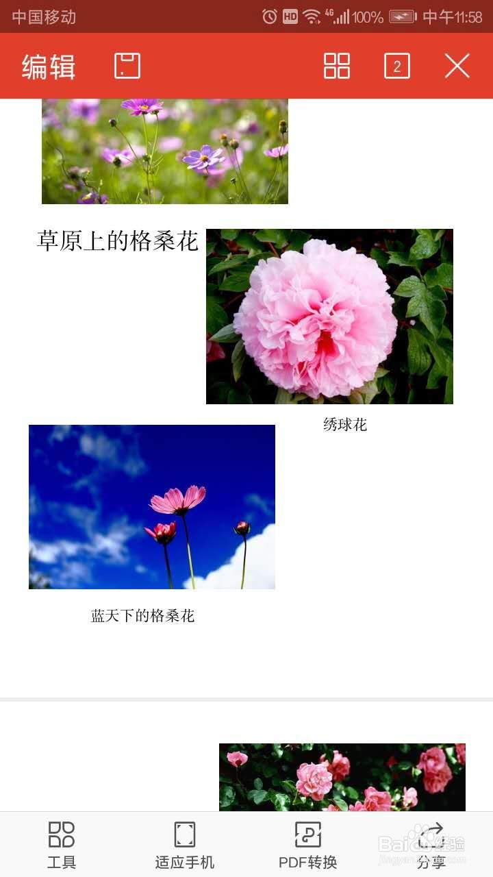 手机WPS PDF中如何更改字号