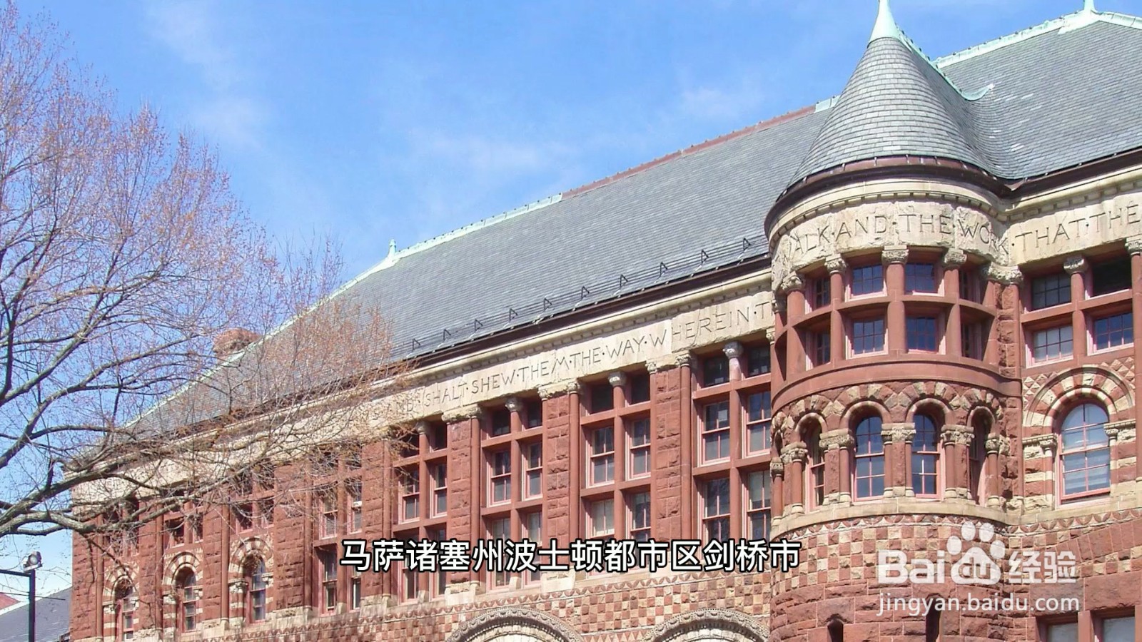哈佛大学在美国哪个城市