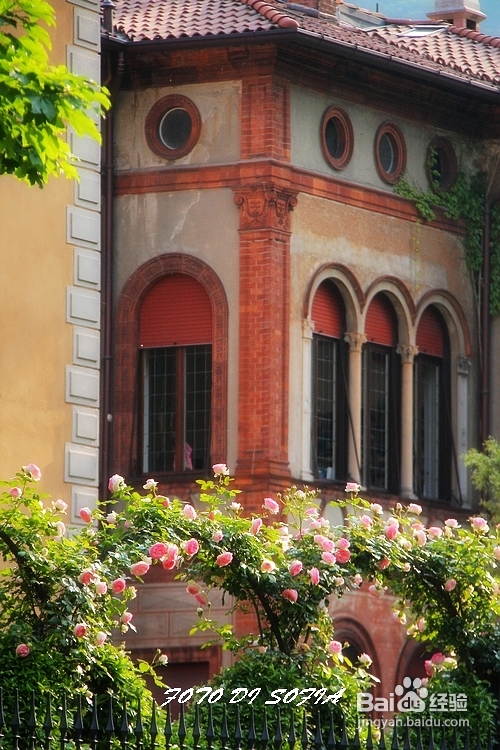 [转载]攀上梦的边缘开放