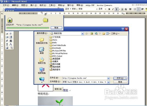 怎样用word打开网页以及去掉超链接