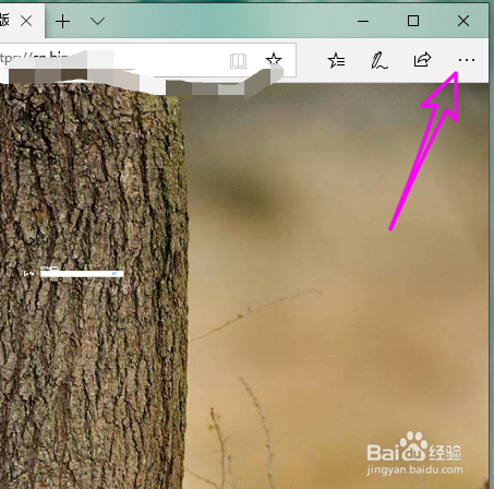 网页字体变小了怎么变正常
