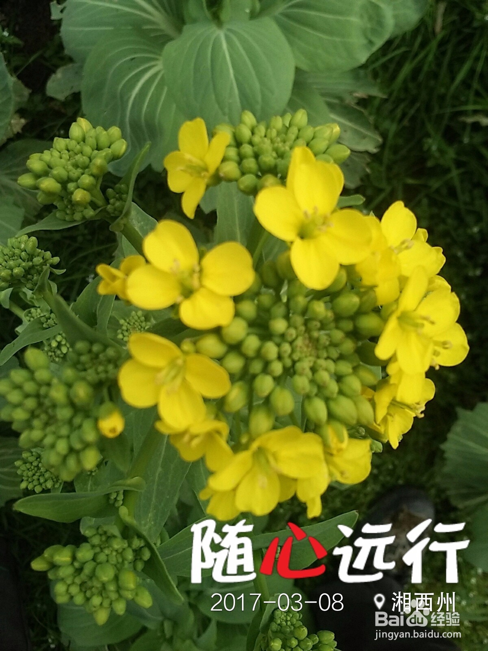 商战·美人劫攻略