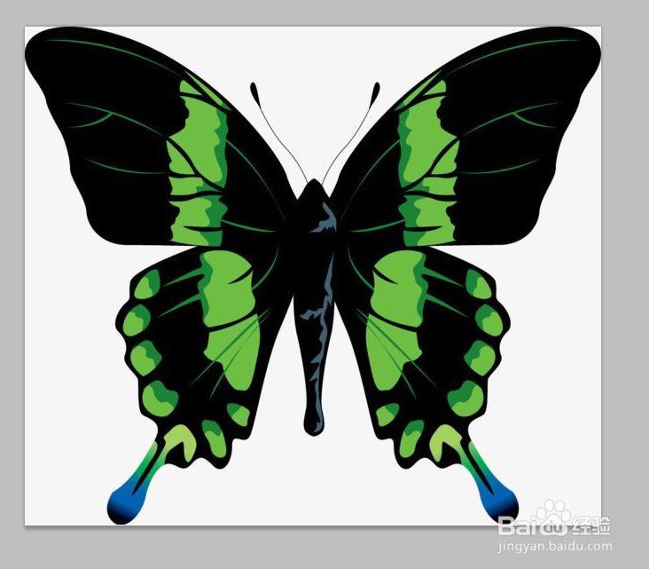 flash做个卡通蝴蝶飞舞的动画