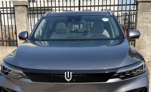 创维汽车重量多少吨