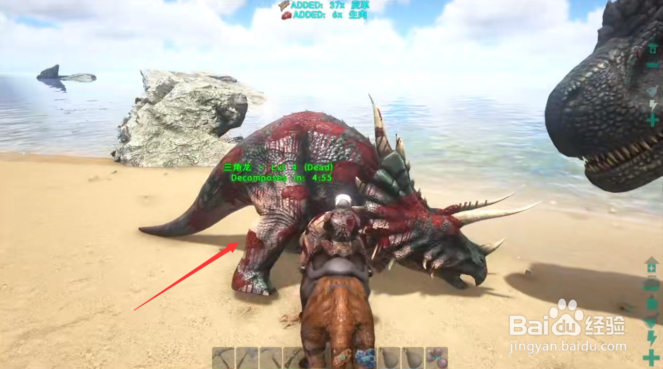 方舟异齿龙怎么当空调