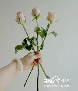 花束怎样扎才显着大气