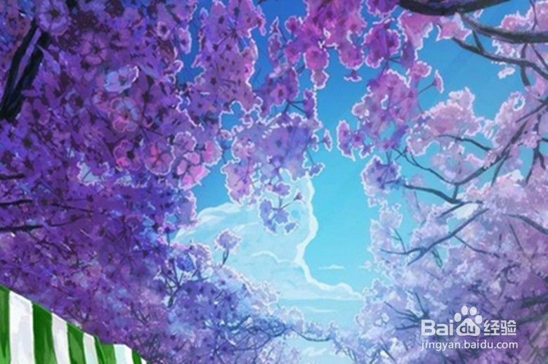 如何拍出美丽的樱花照片