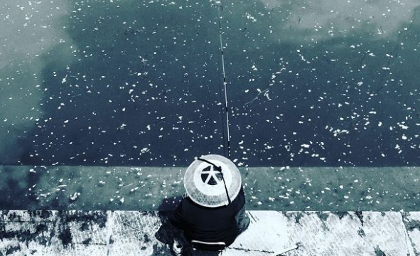 《北郭闲思》如何翻译