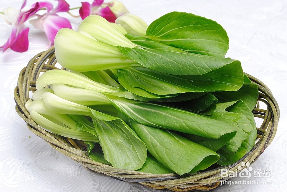 春季多吃什么最合适