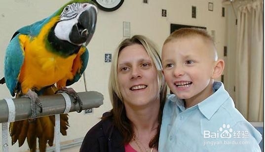 如何正确的对男孩进行口语训练