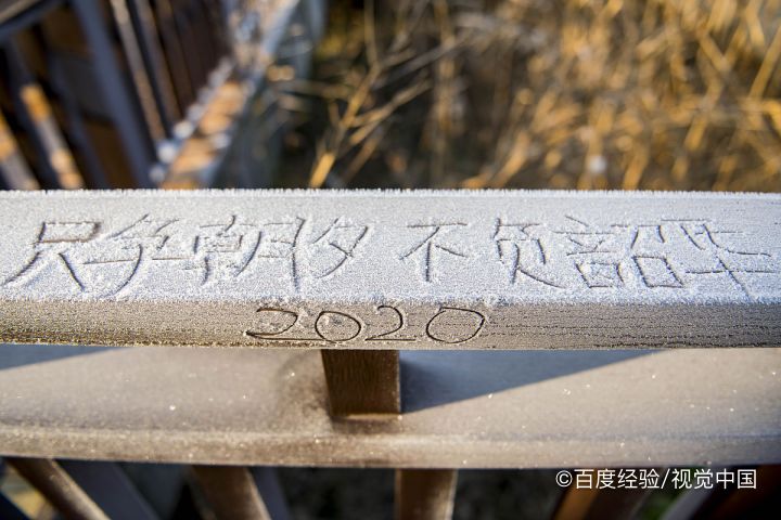 青少年如何只争朝夕不负韶华