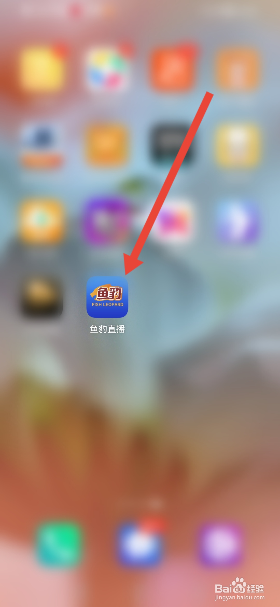 怎么在鱼豹直播申请开店