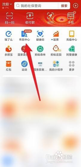 沈阳新农合怎么网上缴费