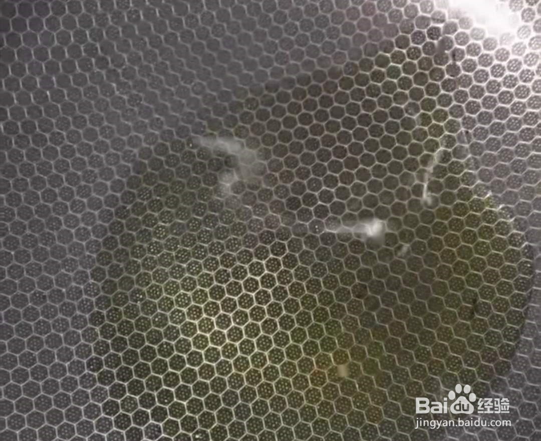 韭菜炒绿豆芽