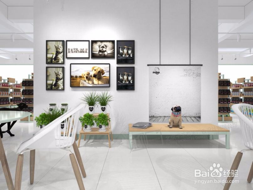 新开宠物店有哪些经营技巧