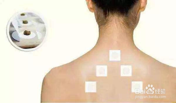 三伏天如何养生