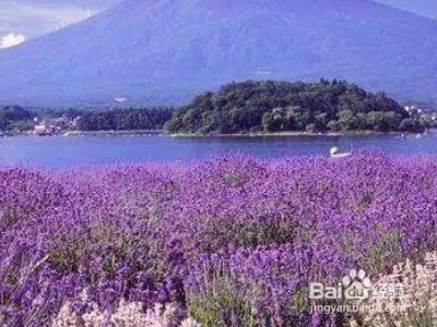 刮风的声音拟声词?