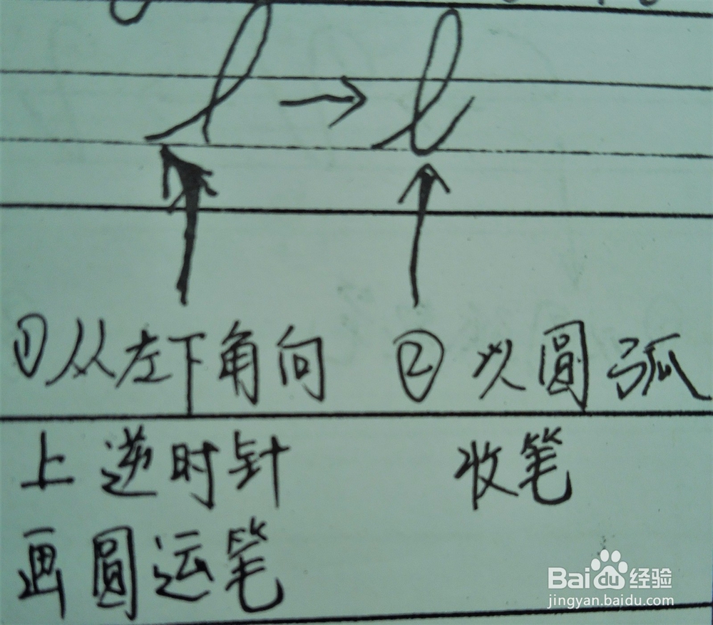 如何手写圆体英文字母系列之“Ll”