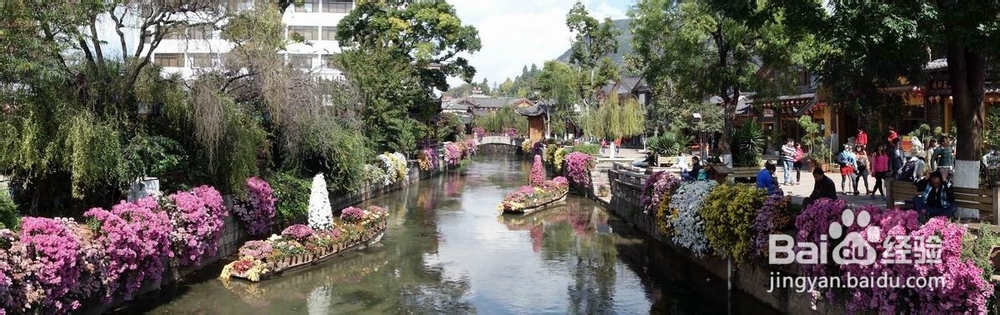 丽江住宿旅游出行