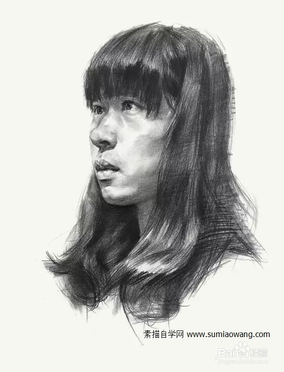 素描头像基础教程