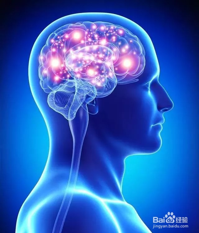 怎样变聪明,让脑子反应快