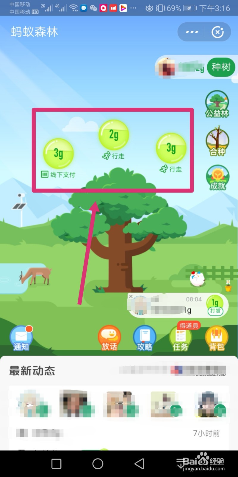 支付宝的能量怎么才能有很多