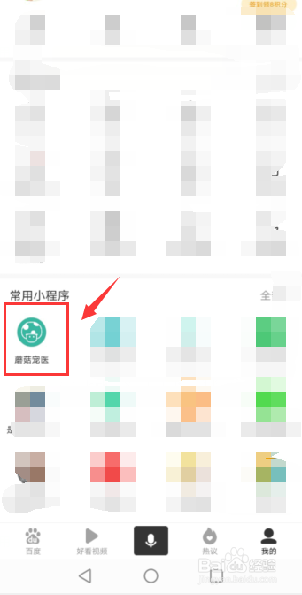 猫咪精神不好食欲不振怎么办