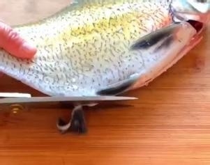 如何做孔雀开屏蒸鱼