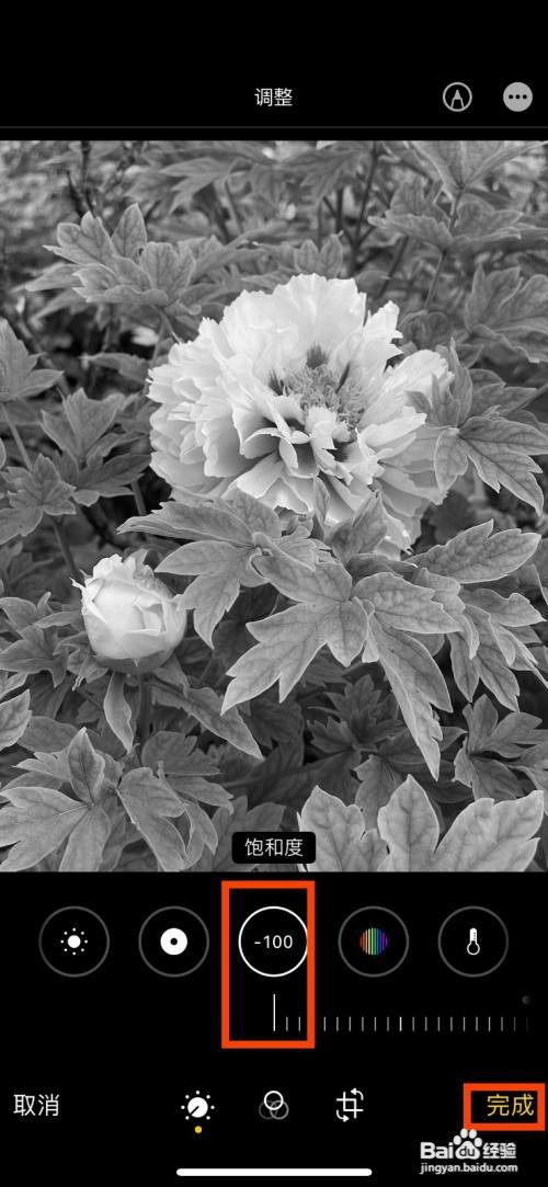 iphone把照片快速调成黑白色怎么操作