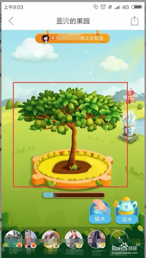 拼多多果园施肥可以关掉?多果园成长值怎么解决?