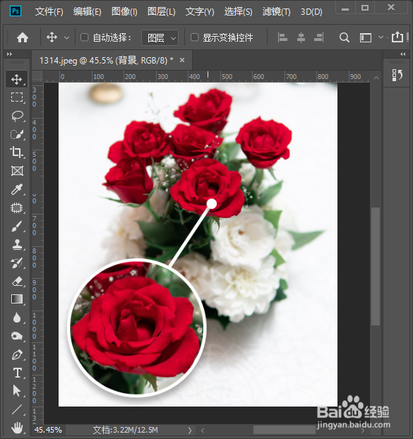 ps怎么做局部放大效果