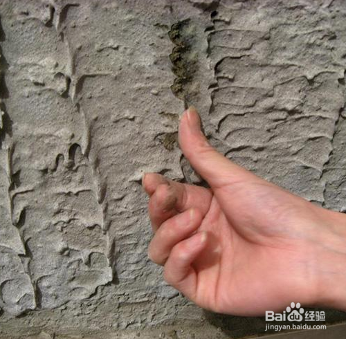 墙面拉毛要注意什么？