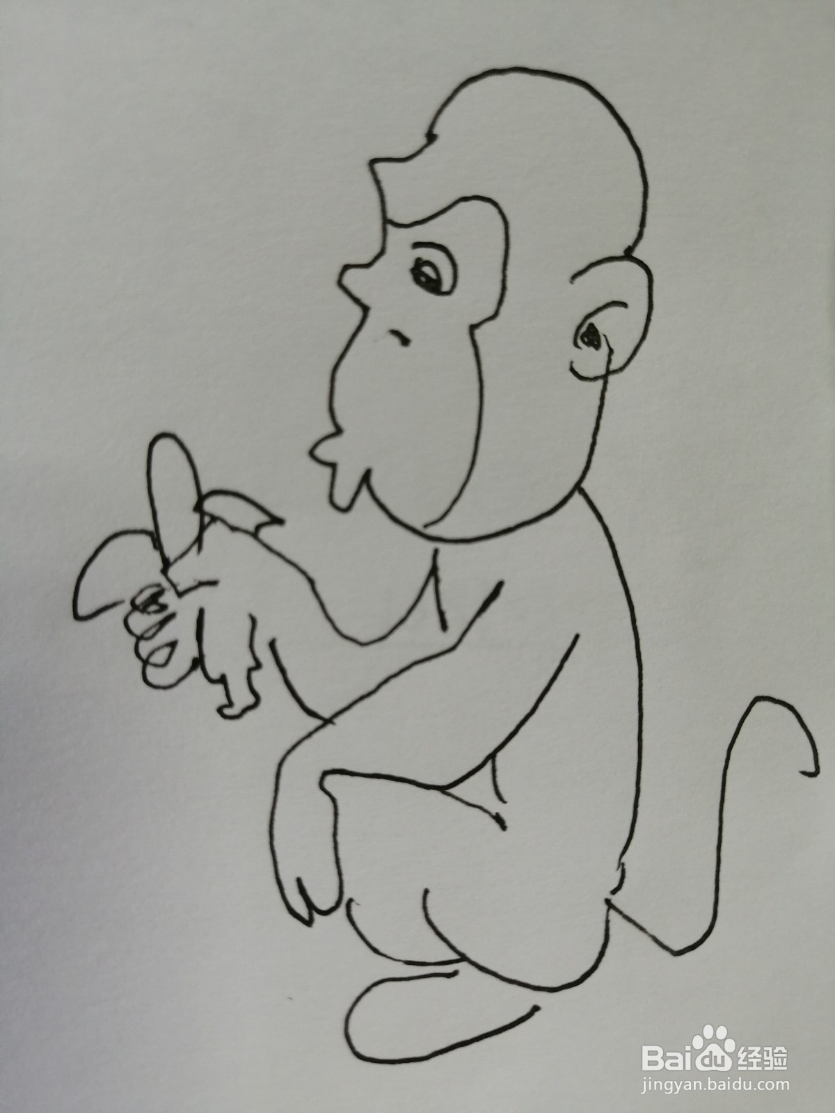 <b>吃香蕉的小猴子怎么画</b>