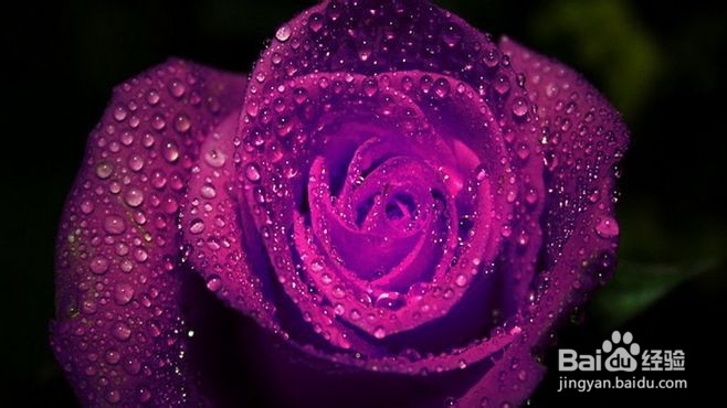 全抖音最火前十首纯音乐BGM