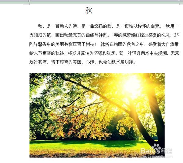 在W WPS文字 软件中如何插入图片？