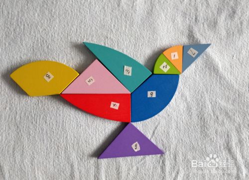 用蛋形九巧板怎么拼一只啼叫的长尾鸟?