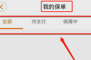 平安保险95511退保流程