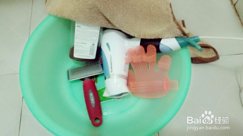 如何狗洗澡?狗狗洗澡中应哪些方面