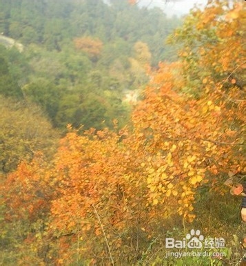 香山游玩攻略