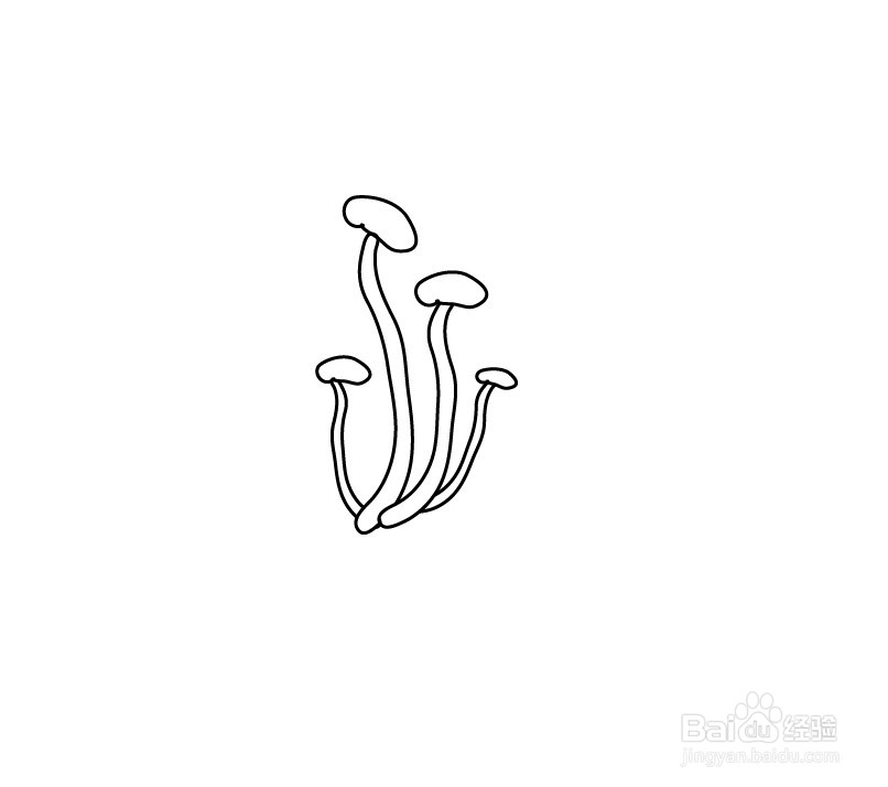 蘑菇简笔画茶树菇怎么画？