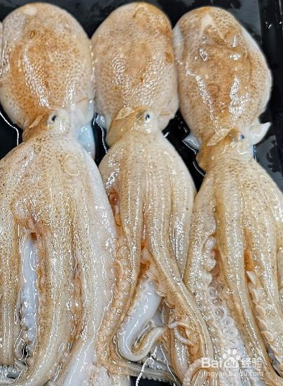 八爪鱼怎么处理干净内脏