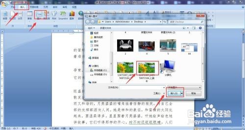 word图片显示不全怎么办