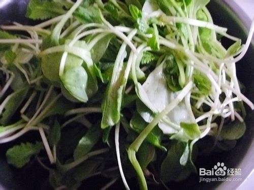 【爽口凉菜】六步做出好吃小凉菜---凉拌萝卜苗