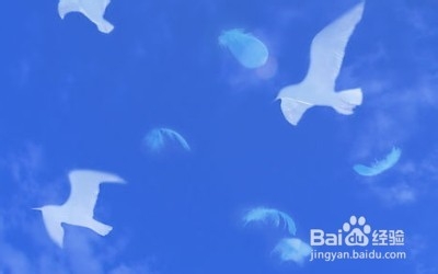 如何做出正确的选择