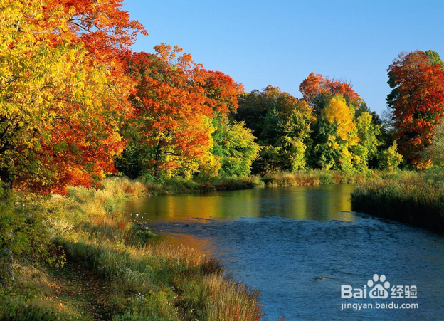 托福过后,如何进行虚拟访校
