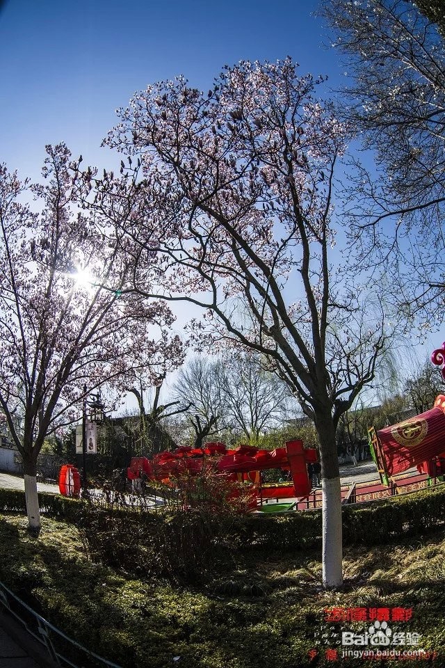 单反相机怎么用鱼眼镜头拍好照片