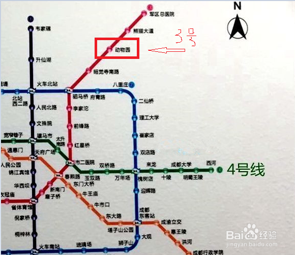 玩转成都动物园之游记攻略