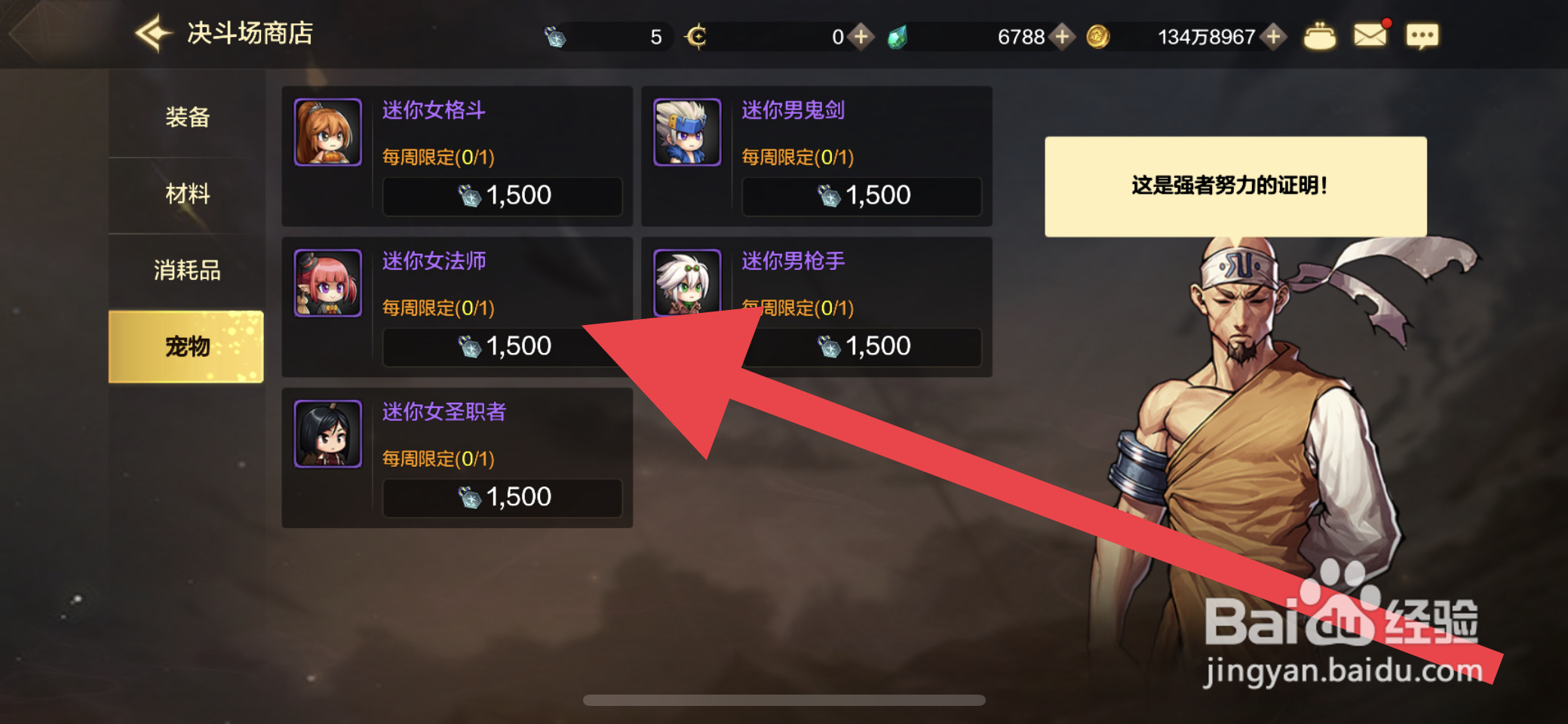 DNF手游怎么获取迷你女法师宠物