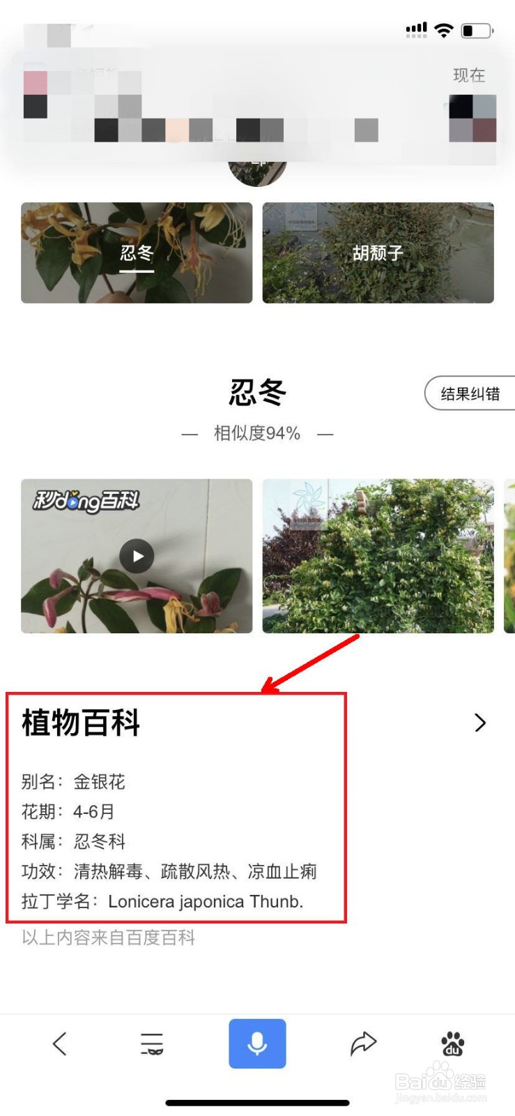 如何用手机拍摄识花