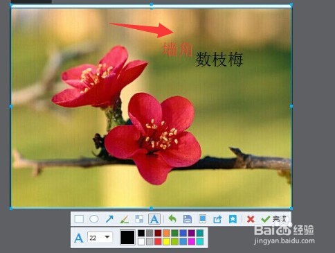 怎么在图片上添加文字？（两种方法）
